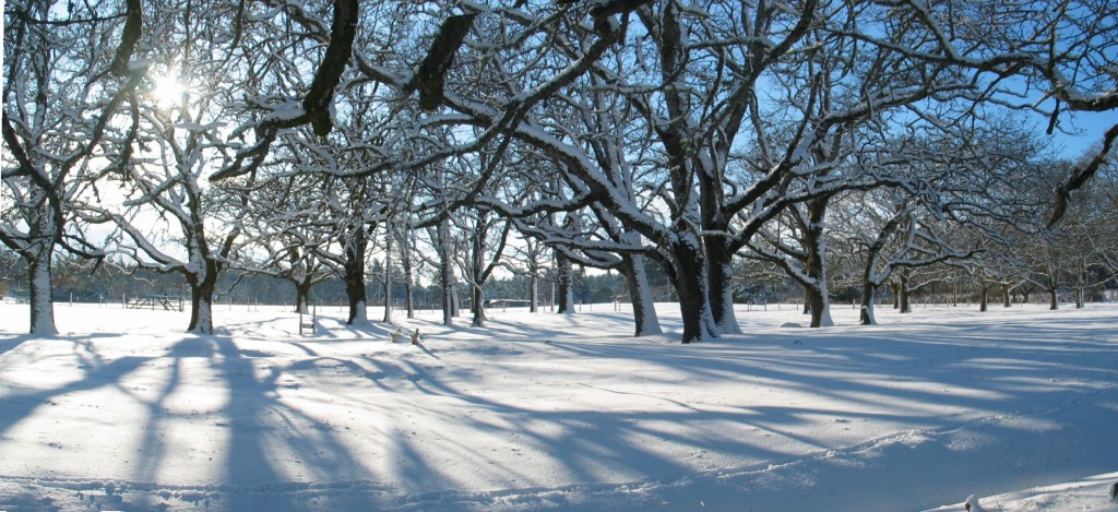 panofrombarn-winter