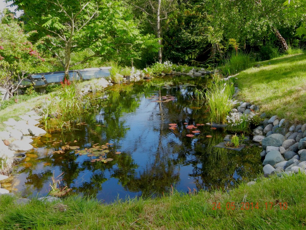 pond2014