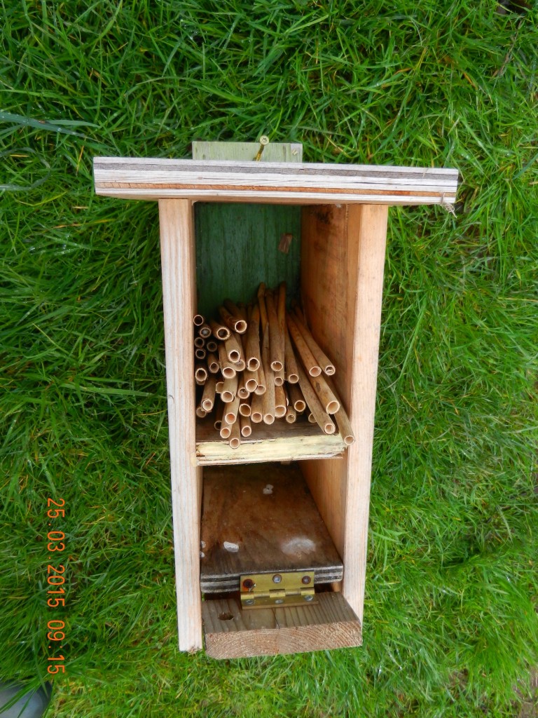 stacking the Phragmites tubes in the bee house