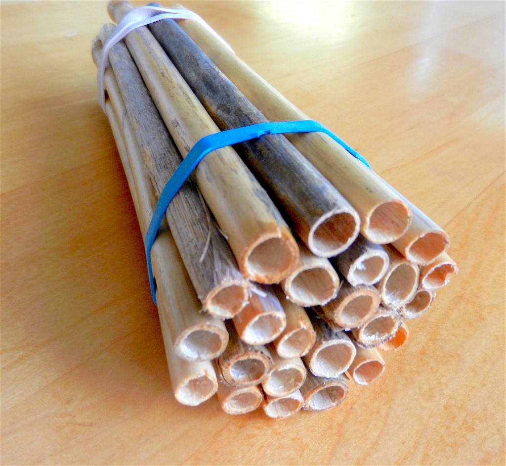 phragmites tubes for mason bees