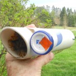 A pill bottle with a hole for the bees to exit is attached to the water pipe